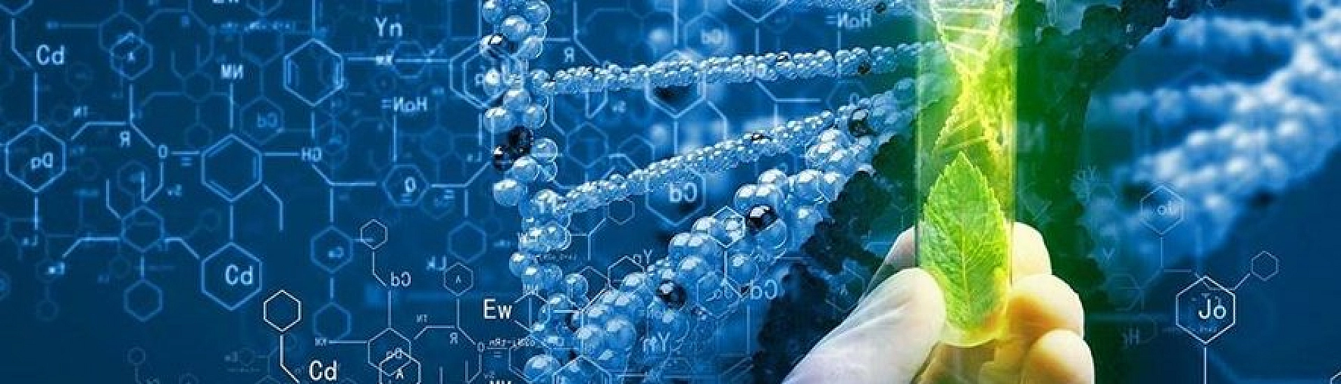 Правительство утвердило стратегию развития биоэкономики в России