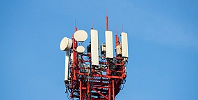 В Петербурге суд рассмотрит иск к МТС и «Мегафону» из-за базовых станций в Сестрорецке
