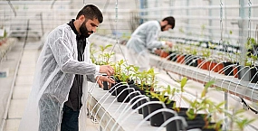 Путин на Форуме будущих технологий призвал усилить развитие биоэкономики