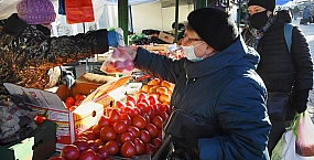 Россия ограничит ввоз всей подкарантинной продукции из Армении