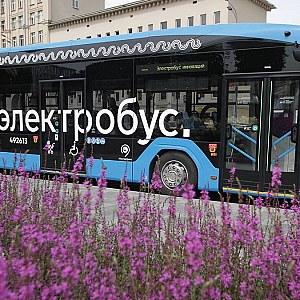 В Москве электробус сбил женщину насмерть на пешеходном переходе
