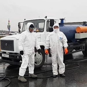 На птицефабрике «Пышминская» в Тюменской области введён карантин из-за вспышки птичьего гриппа