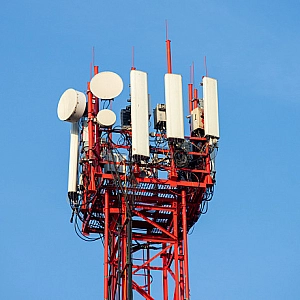 В Петербурге суд рассмотрит иск к МТС и «Мегафону» из-за базовых станций в Сестрорецке