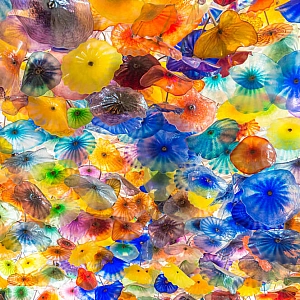 В Сиэтле вандал уничтожил стеклянные скульптуры Дейла Чихули на $240 тыс.