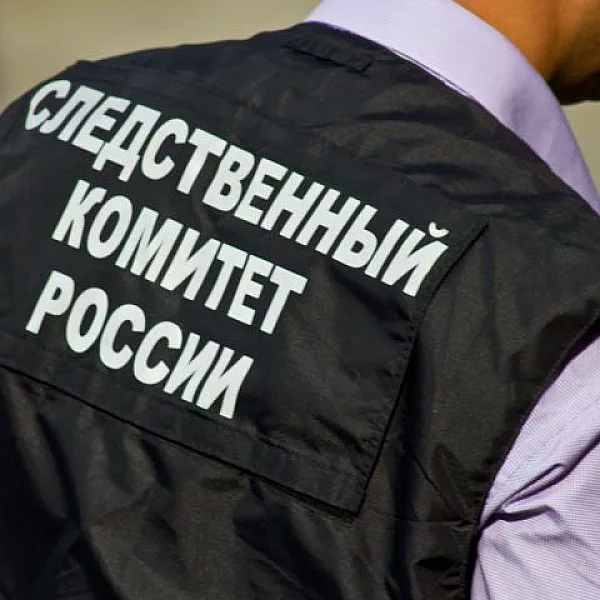 В Иркутской области задержали двух подростков по делу об издевательствах над 13-летней девочкой